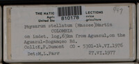 Image Associated With the Occurence